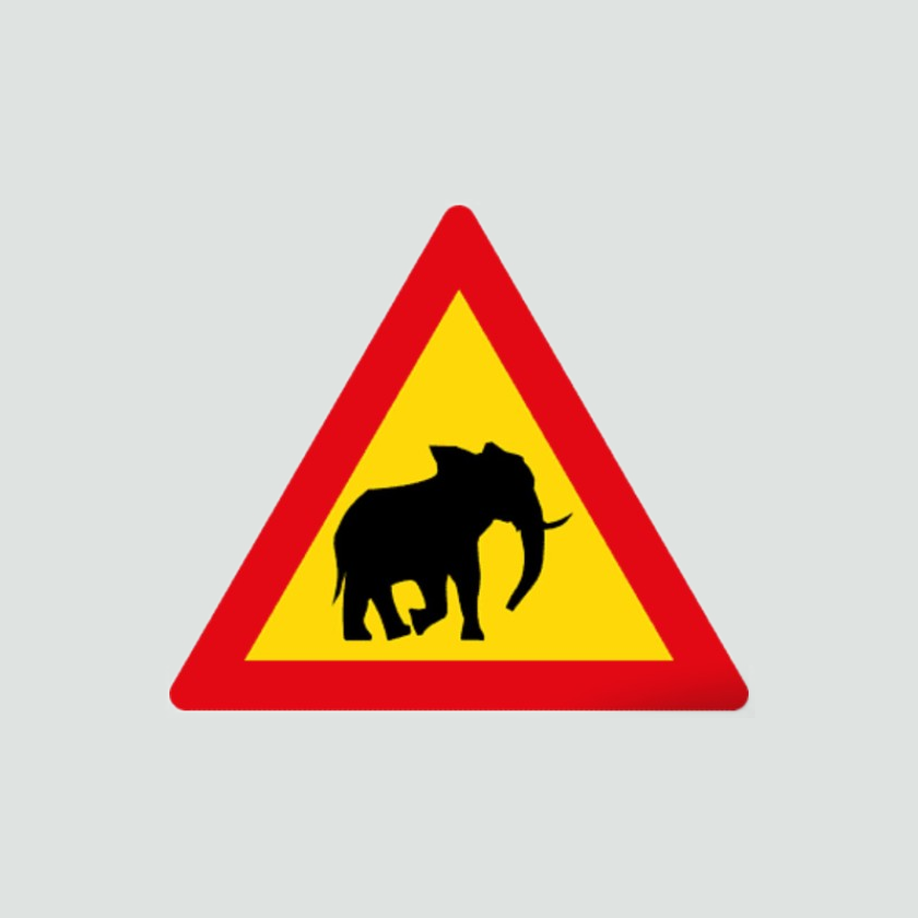 Warning to look out for elephant or other wild animals on road ahead